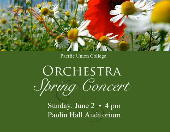2013-06-02-Orchestra-Announce