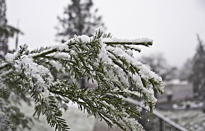 _MG_9872.jpg