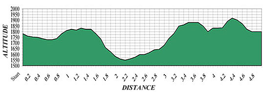 Mens Topo Map