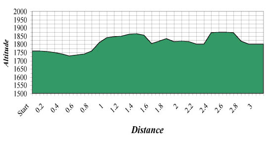 Womens Topo Map