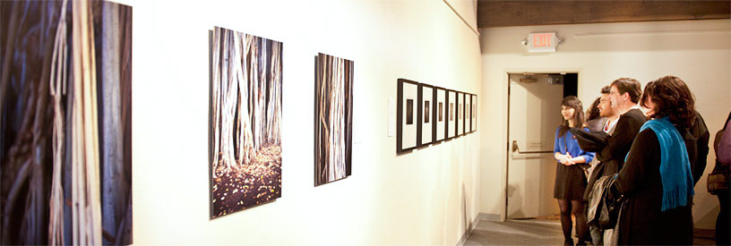 New Faculty Work