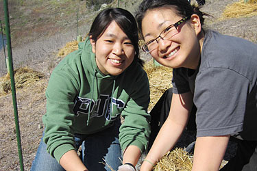 Restore Lake Berryessa Habitat