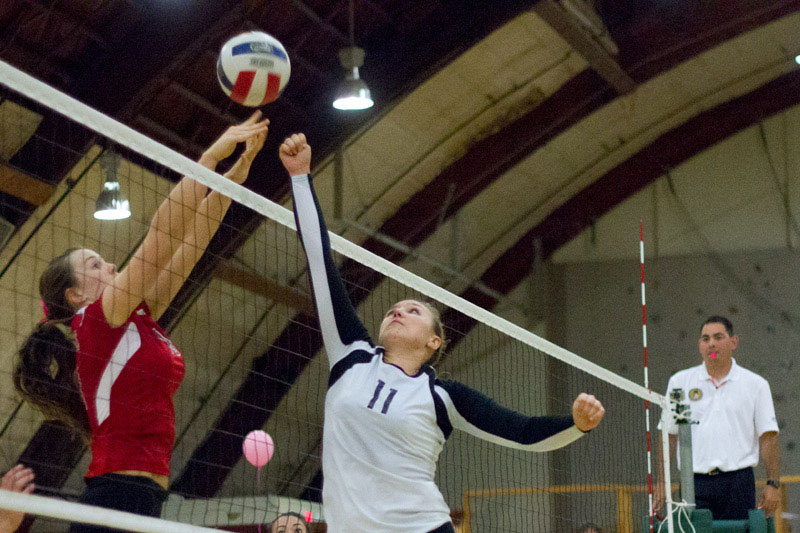volleyball-IMG_9202.jpg