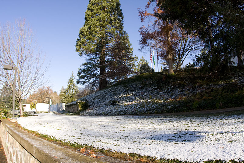 _MG_2086.jpg