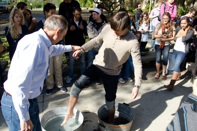 Grape-Stomping.jpg