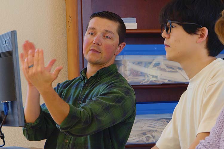 Information and Requirements