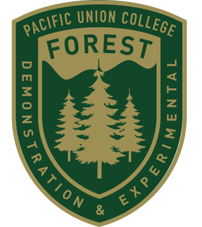 Forest Logo