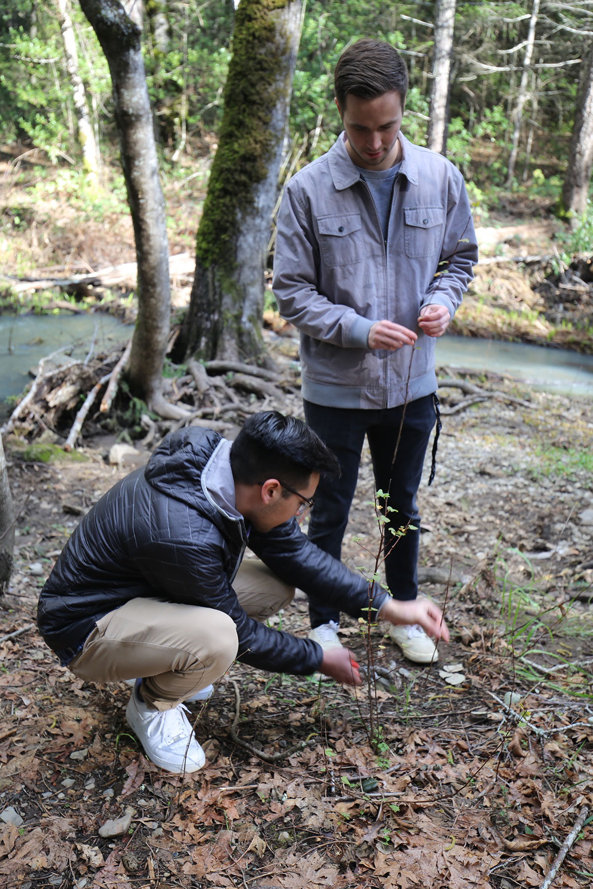 Bio Class Collecting Cuttings at Linda Falls