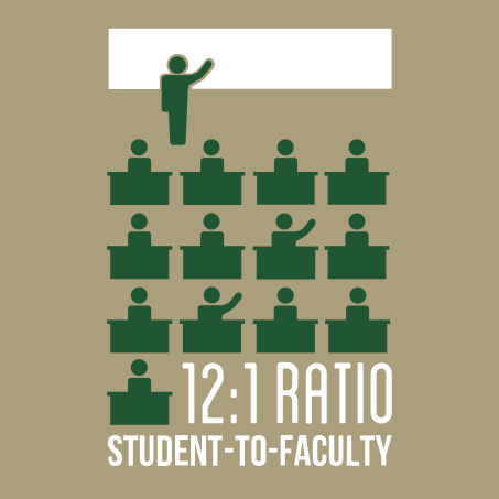 Faculty Ratio