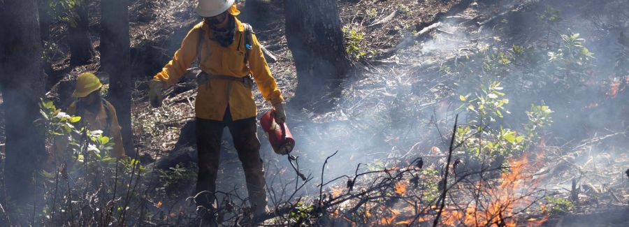 Fire Mitigation Fund