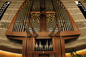 organsmall0117.jpg