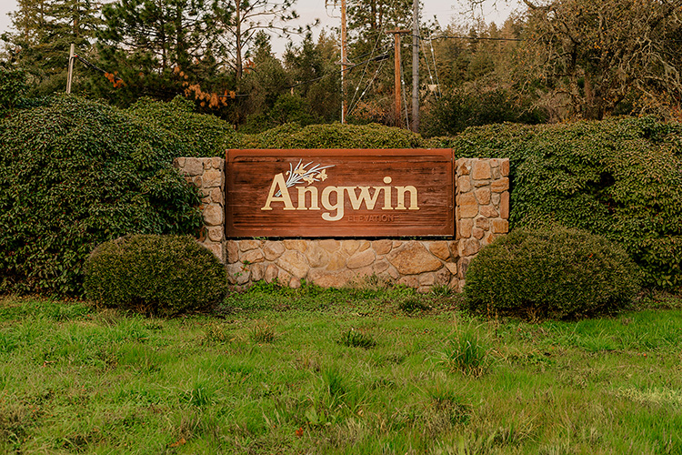 Angwin-California.jpg