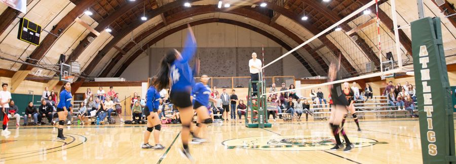 Volleyball Tournament